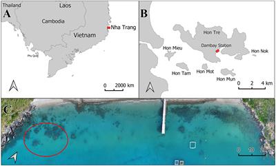 Symbiotic communities associated with nursery-reared and natural corals: are they similar?